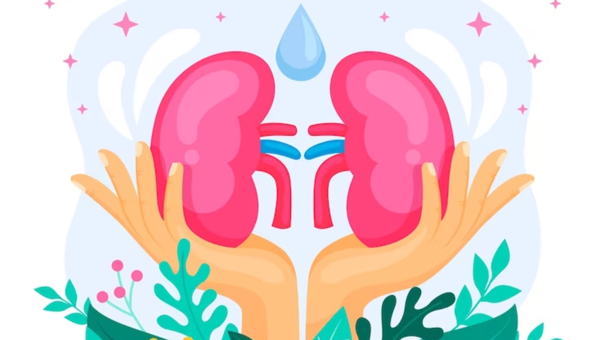 5 Foods That Keep The Kidney Healthy And Help Fight PKD (Polycystic